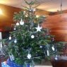 Caroleb's Christmas tree from Aix les bains 