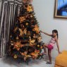 Weihnachtsbaum von Navidad otoñal (Cucuta, Colombia)
