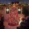 Sapin de Noël de Mini Rockafeller  (New York ,NY USA )