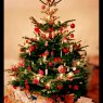 Marina Kiehne's Christmas tree from Stuhr