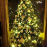 Orla's Christmas tree from Ireland
