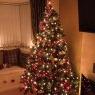 Sam & Dan Knox's Christmas tree from Chester, UK