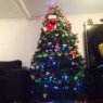monica montoya's Christmas tree from Mexico Df