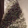 Jose cardenas's Christmas tree from Villa union coahuila mx
