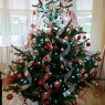 Joanna and Sebastian's Christmas tree from Ireland, Ballina