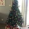 Lysh 's Christmas tree from Wollongong, NSW, Australia
