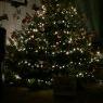 MaQ's Christmas tree from England