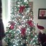 Audrey's Christmas tree from Trois rivieres quebec