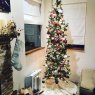 Dainty Yet Festive's Christmas tree from Mammoth Lakes, California