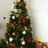 Soledad Torres's Christmas tree from Chile