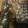 Alton Gandy 's Christmas tree from Dallas, TX, usa