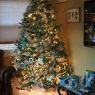 Marissa sweet 16 winter wonderland 's Christmas tree from Garden City So.LI