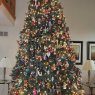 Steve & Fran's Christmas tree from Macomb,Mi