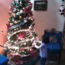 Regina Espinoza's Christmas tree from Guatemala
