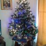 Pamela Troncoso's Christmas tree from Santiago de Chile