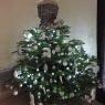 Lili's Christmas tree from Vesoul70 France