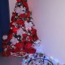 Sorely's Christmas tree from Islas Canarias. España