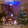 Richy boat's Christmas tree from Valencin