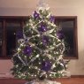 The Tree of Wisdom 's Christmas tree from Boston, MA