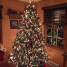 Deptow's Christmas tree from Medina, Ohio