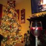 Dulce Haro's Christmas tree from Mexico Baja  California Tijuana
