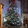 Vicki pitt's Christmas tree from Liverpool, England