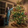 Matt Reynolds's Christmas tree from Cape Cod, MA