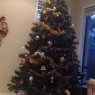 The morts family tree 's Christmas tree from North lakes QLD