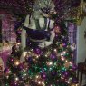 Roxie Mardi Gras Christmas 's Christmas tree from Southampton, PA