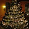 Victorian fur's Christmas tree from Carlstadt New Jersey