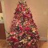 Veselin Kirov's Christmas tree from Chicago