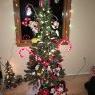Mikeross44's Christmas tree from Dysart, PA