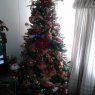 nubia's Christmas tree from bogota-colombia