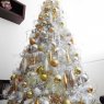 Alessandro's Christmas tree from Caracas, Venezuela