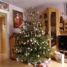 Weihnachtsbaum von Andreas Pfau (Friedrichshafen, Deutschland)