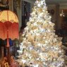 Moneth Min's Christmas tree from Safety Bay Western Australia