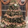 Kellie's Christmas tree from Waterville, NY, USA
