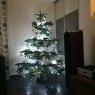 Chris 's Christmas tree from France