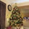 Matt payne 's Christmas tree from Greenhithe, Kent 