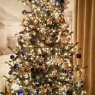 Kathy Y.'s Christmas tree from Bethesda, MD 20814