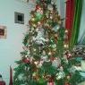 Angel and Patricia vera's Christmas tree from Bronx, New York. USA