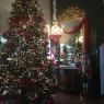 Brittany Turpin 's Christmas tree from Tucson az