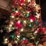 Árbol de Navidad de Jennifer Clapper (MORGANTOWN, WV)