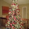 Joanne gargano's Christmas tree from Lancaster,  PA,  USA