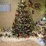 Karelle's Christmas tree from Quebec, Canada