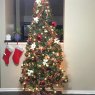 Holly Rumph's Christmas tree from Hackensack, NJ, USA
