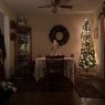 Thomas Stapp's Christmas tree from Atlanta Ga., United States