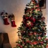 Winter Is Coming's Christmas tree from Kuna, ID, USA