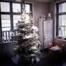 Weihnachtsbaum von dufour flo (france)