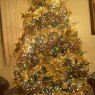 carlos's Christmas tree from Torreon Mexico